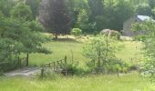 Tour Zu Fuß Lierneux - GrWandArdRiv26: Bra de groene driehoek tussen Lienne en Chavanne - Photo 4