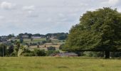 Tour Wandern Herve - 20220801 - Bruyères - 6.2 Km - Photo 20