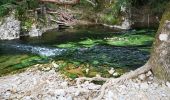 Excursión Senderismo Barjols - ste madeleine  - Photo 16