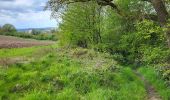 Trail Walking Dinant - Foy Notre Dame 250424 - Photo 3