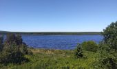 Trail Road bike Arzenc-de-Randon - lac de Charpal - Photo 4