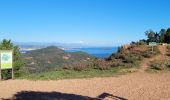 Tour Wandern Saint-Raphaël - Le pic de l'ours les grues - Photo 1