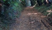 Trail Walking Pluguffan - chapelle grace - Photo 4