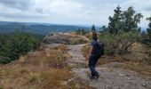 Tour Wandern Raon-sur-Plaine - suuntoapp-Hiking-2025-07-14T08-58-29Z - Photo 3