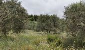 Tour Wandern La Londe-les-Maures - De Lalonde-Valcros au dolmen de Gautabry - Photo 15