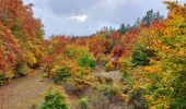 Trail Walking Aurel - Couleurs d'automne au Ventouret - Photo 5