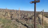 Tour Wandern Mittelweier - Les perles du vignoble  : Mittelwihr - Beblenheim - Zellenberg - Hunawihr - Riquewihr. - Photo 7