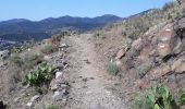 Tocht Stappen Portbou - Gr92-01 - Photo 20