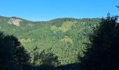 Trail Walking Bellecombe-en-Bauges - BAUGES: TOUR DE LA MONTAGNE DU CHARBON - Photo 1