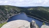 Tour Wandern Urbeis - Tour de lac Noir et du Lac Blanc  - Photo 4