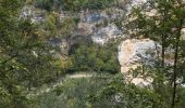 Trail Walking Châtillon-en-Diois - Circuit des Baumes - Pont de vachères-Soubreroche - Boulc - Photo 5