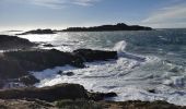 Excursión Senderismo Hyères - Tour de la presqu'île de Giens est - Cap Esterel - Photo 1