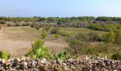 Trail Walking Leucate - mon sentier des pêcheurs via chateau - Photo 2