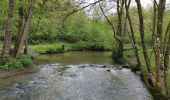 Tocht Mountainbike Yvoir - DORINNE ... la vallée du Bocq. - Photo 2