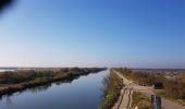 Percorso Bici ibrida Vauvert - 30 - Petite Camargue GALLICIAN - Photo 2