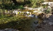 Trail Walking Seillons-Source-d'Argens - SEILLONS SUR ARGENS - SOURCE DE L'ARGENS - Photo 8