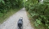 Trail Walking Claix - Colline de Comboire - Photo 10
