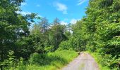 Percorso Marcia Theux - tancremont - mousset versant vesdre retour via versant hoegne - Photo 17