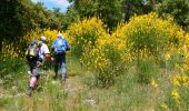 Randonnée Marche Flassans-sur-Issole - Boucle autour de Flassans-sur-Issole - Photo 17