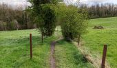 Trail Walking Honnelles - Promenade du caillou qui bique  - Photo 1