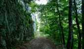 Tour Wandern Saint-Agnan-en-Vercors - Les Rancs de Charles - Vercors - La Coche - Photo 11