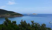 Trail Walking Rogliano - 04/06/2013 12:52 Sentier Douaniers Macigaccio - Photo 3