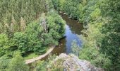 Tour Wandern Florenville - Azy-les épioux depuis Chassepierre - Photo 5