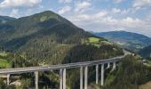 Tour Zu Fuß Hollersbach im Pinzgau - Naturlehrpfad - Photo 5