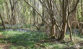 Tour Wandern Vesly - Vesly côte de Guerny Gisancourt et le chêne, ferme de Nainville - Photo 15