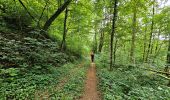 Trail Walking Florenville - Balade à Chassepierre - Photo 13