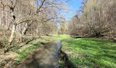 Tour Wandern Rochefort - rando ornitho belvaux 4-04-2023 - Photo 7