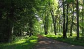 Randonnée Marche Saint-Crépin-aux-Bois - en forêt de Laigue_13_05_2021_le Mont des Châtillons - Photo 14