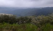 Trail Walking Vianden - vianden . stolzemmbour  - Photo 8