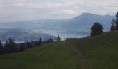 Tour Zu Fuß Kriens - Kriens Pilatus-Bahnen - Fräkmüntegg - Photo 5