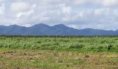 Tocht Stappen Le Lamentin - Plantation Gaigneron  - Photo 5