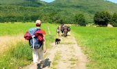 Tour Wandern La Chapelle-en-Vercors - La Chapelle en Vercors - Vassieux (Première étape balade ânes) - Photo 5