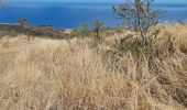 Trail Walking Saint-Paul - cap lahousszye sa a.ne - Photo 2