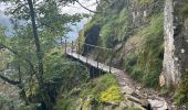 Tocht  Le Valtin - Sentier des roches frankenthal col de la schlucht - Photo 10