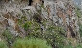 Tocht Stappen Thuès-Entre-Valls - gorges de caranca - Photo 1