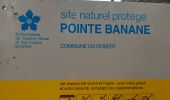 Percorso Marcia Le Robert - boucle de pointe banane - Photo 7