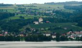 Trail On foot Römerswil - Neudorf - Herlisberg - Photo 2