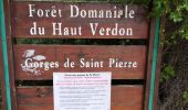 Trail Walking Beauvezer - Gorges St Pierre  - Photo 1