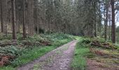 Tour Wandern Ferrières - xhoris adeps 15km 2024  - Photo 9