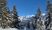Percorso Racchette da neve Saint-Jean-de-Sixt - Le panorama du Danay (14) - Photo 16