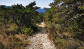 Trail Walking Mirabel-et-Blacons - Chapelle Saint-Christophe - Charsac - Photo 5