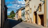 Percorso A piedi Schengen - Naturpfad Reif - Photo 10