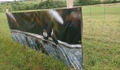Trail Walking Pontpierre - expo nature Faulquemont  - Photo 13