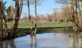 Trail Walking Cormery - Cormery gare - Tauxigny - 19.5km 170m 4h35 (40mn) - 2025 03 02 - Photo 6