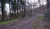 Trail Mountain bike Virton - Le Pas Bayard  -  Balade_VTT_15kms - Photo 9