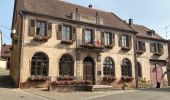 Trail Walking Barr - Domaine Saint Jacques , Obernai  - Photo 3